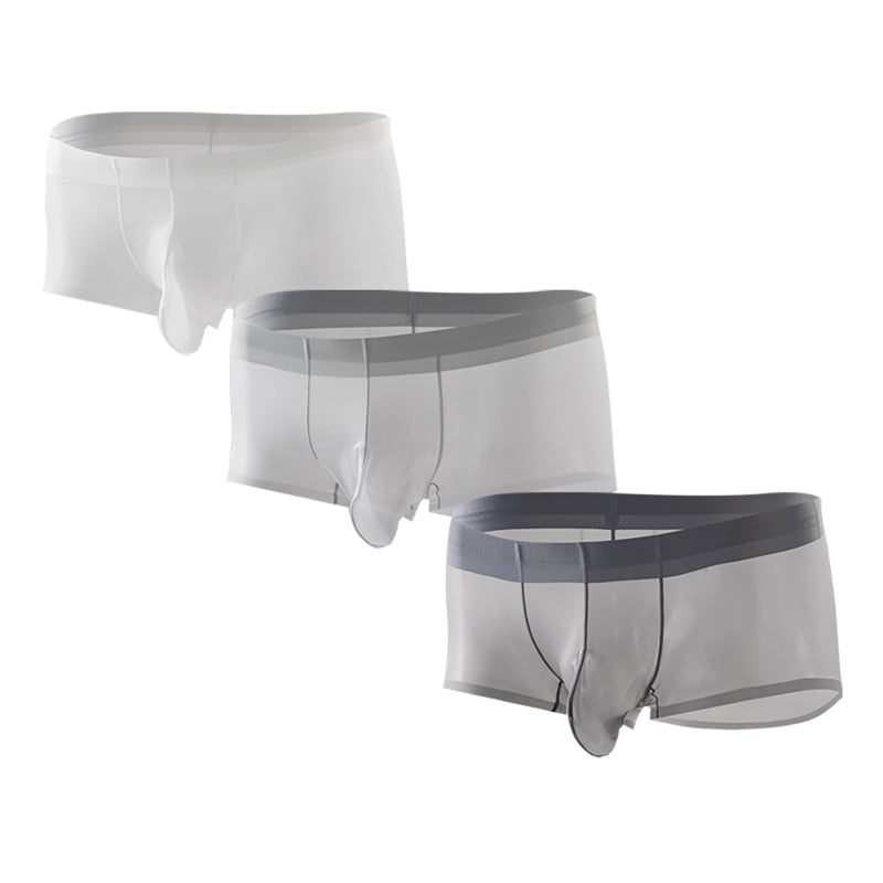 3PCS Men's Ultra Thin Cooling Briefs Lightweight Microfiber Underwear Breathable Design Transparent Underwear Briefs